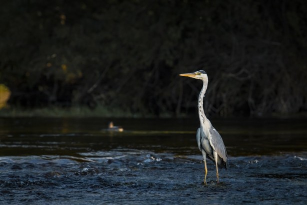 Bosna Hersek'teki Una Milli Parkı'na turist akını