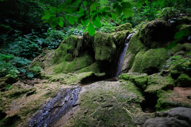 Foto - Bosna Hersek'ten üzücü haber! Kuruma tehlikesiyle karşı karşıya