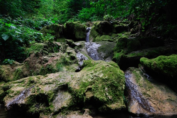 Foto - Bosna Hersek'ten üzücü haber! Kuruma tehlikesiyle karşı karşıya