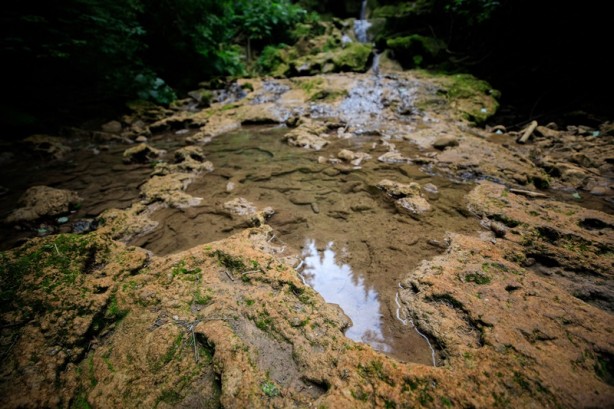 Bosna Hersek'ten üzücü haber! Kuruma tehlikesiyle karşı karşıya