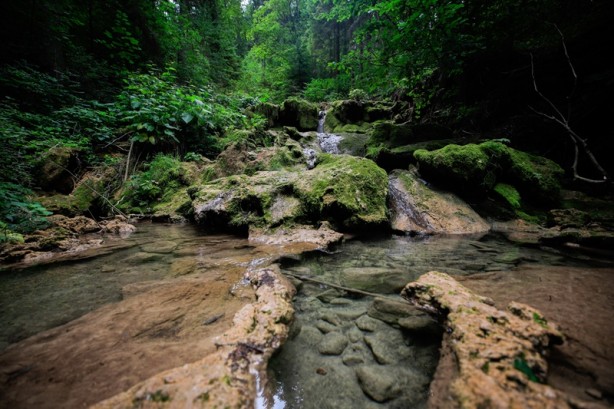 Foto - Bosna Hersek'ten üzücü haber! Kuruma tehlikesiyle karşı karşıya