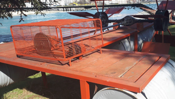 Foto - Bosnalılar buldu Ukraynalılara ilham oldu