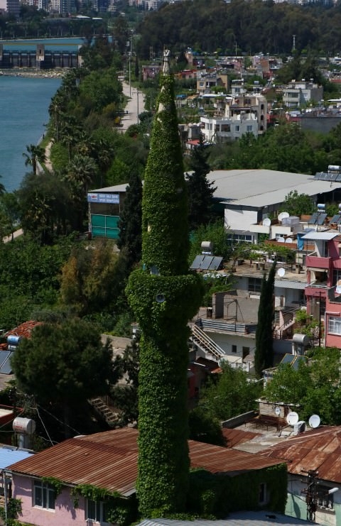 Foto - Botanik bahçesi gibi cami