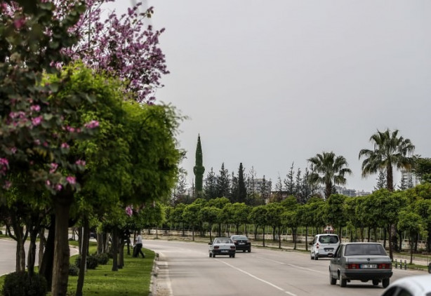 Foto - Botanik bahçesi gibi cami