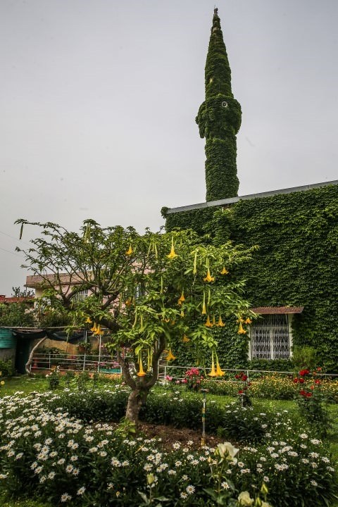 Foto - Botanik bahçesi gibi cami