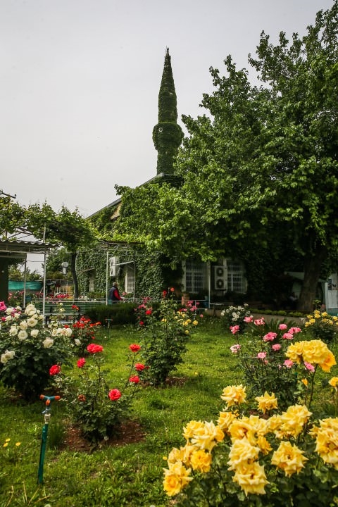 Foto - Botanik bahçesi gibi cami