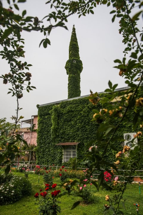 Foto - Botanik bahçesi gibi cami