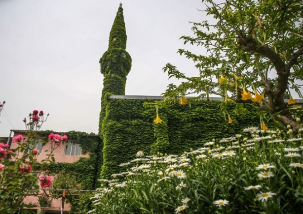 Foto - Botanik bahçesi gibi cami