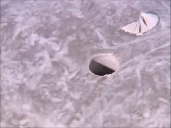 Foto - Bowling topları işte böyle yapılıyor