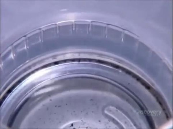 Foto - Bowling topları işte böyle yapılıyor