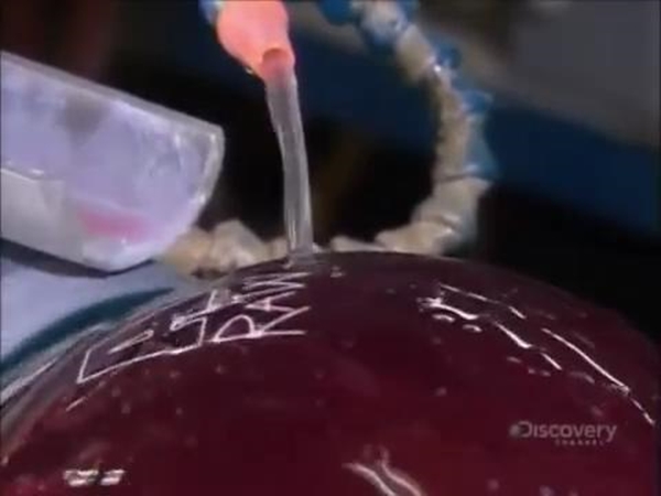 Foto - Bowling topları işte böyle yapılıyor