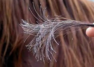 Foto - Boyadan yıpranmış saç uçlarını bir anda yenilemenin formülü: oraya uygulayan şoka uğradı! Saç fışkıracak