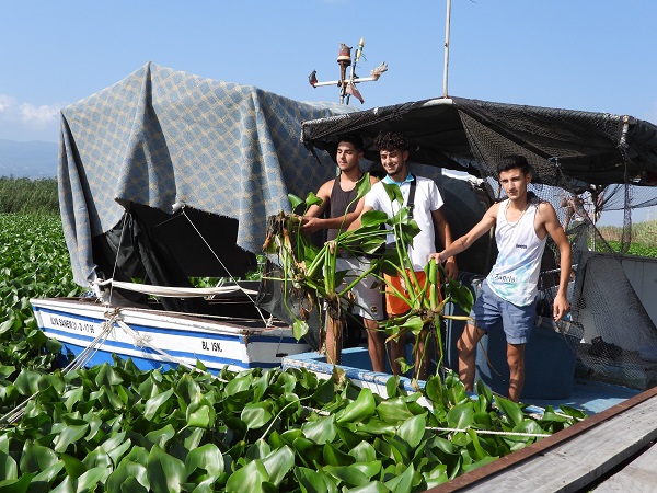 Foto - Boyları 1 metreyi buldu! Asi Nehri'ni esir aldılar