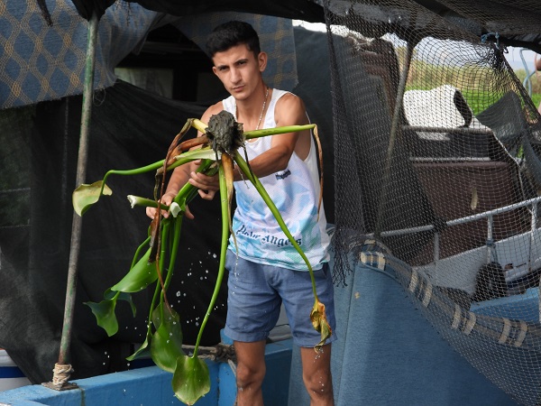 Foto - Boyları 1 metreyi buldu! Asi Nehri'ni esir aldılar