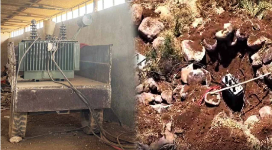 Foto - Böyle ahlaksızlık, böyle skandal görülmedi! Türkiye'yi milyarlarca lira zarara uğrattılar