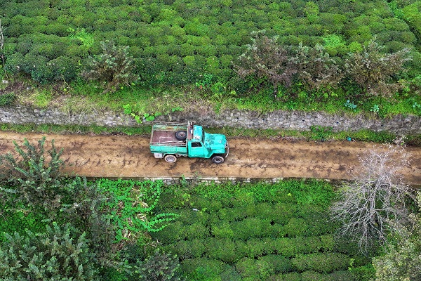Foto - Böyle araba sevdası görülmedi! Kendi 83 arabası 70 yaşında