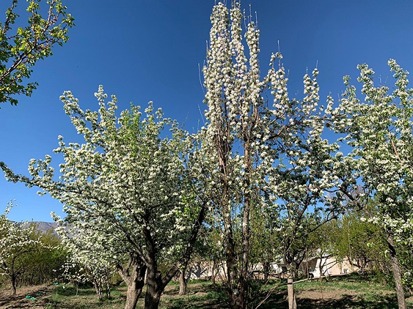 Foto - Böyle bir şey daha önce görülmedi! Şaşkınlıktan ne yapacağını şaşırdı