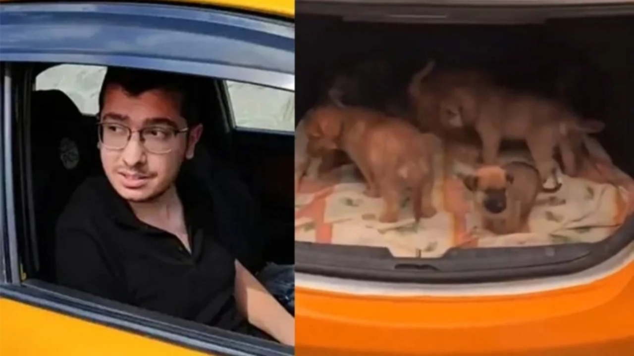 Foto - Böyle doktor olmaz olsun! Yaptığı namussuzluk Türkiye’yi ayağa kaldırdı