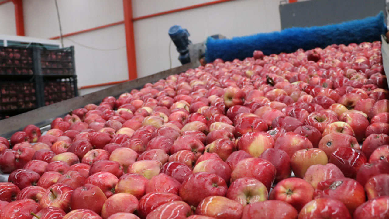 Foto - Böyle duyurdular: Türkiye bize ihanet etti, artık onlardan elma almayacağız