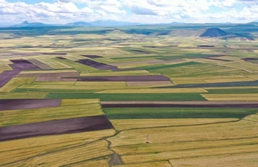 Foto - Böyle fırsat görülmedi! Sadece 6 bin liraya toprak sahibi olabilirsiniz