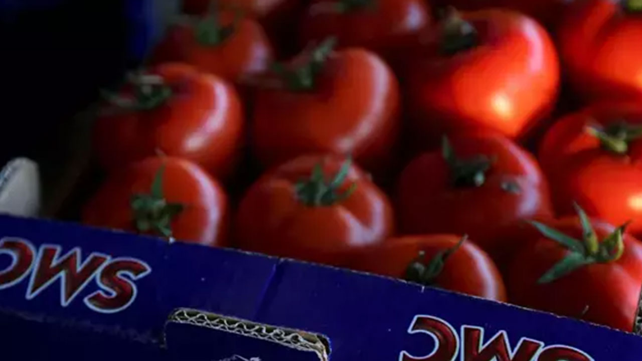 Foto - Böyle giderse Rusya'yı da kaybedeceğiz! Moskova'dan Türkiye'ye şok suçlama: Aykırı durumlar saptadık