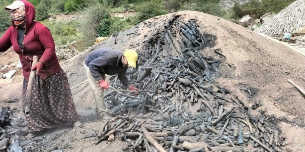 Foto - Böyle iş görülmedi! Ormana çıkıp topluyorlar, çuvallarla satıyorlar! Resmen paraya para demiyorlar