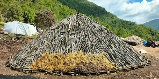 Foto - Böyle iş görülmedi! Ormana çıkıp topluyorlar, çuvallarla satıyorlar! Resmen paraya para demiyorlar