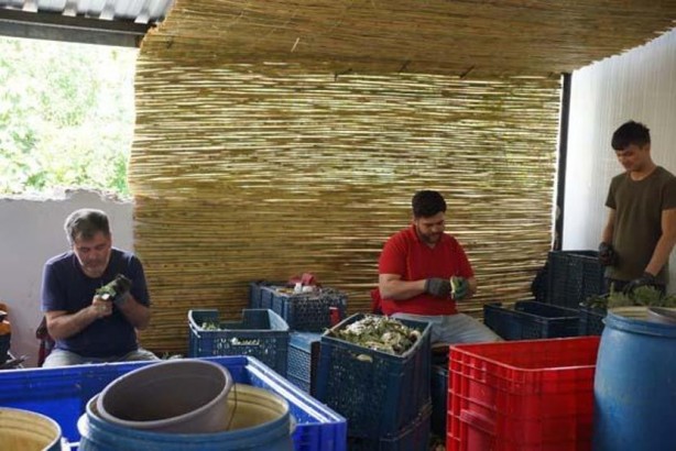 Foto - Böyle kazanç yok! Asgari ücretin tam 4 katı... Sadece bunu yaparak kazanıyorlar