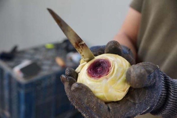 Böyle kazanç yok! Asgari ücretin tam 4 katı... Sadece bunu yaparak kazanıyorlar