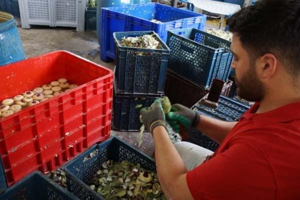 Foto - Böyle kazanç yok! Asgari ücretin tam 4 katı... Sadece bunu yaparak kazanıyorlar