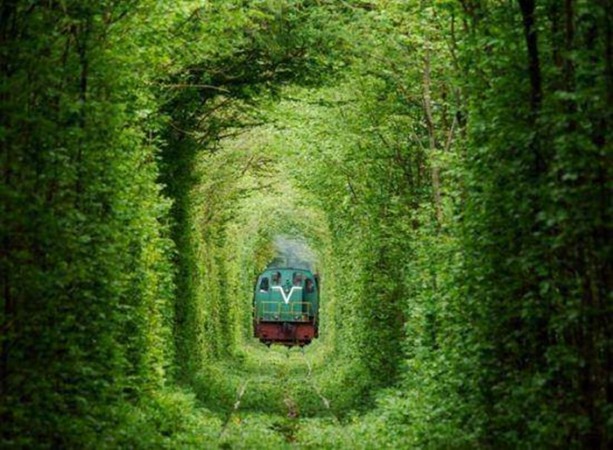 Foto - Böyle köprü görülmedi!