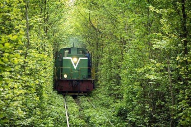 Foto - Böyle köprü görülmedi!