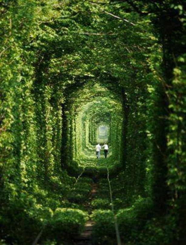 Foto - Böyle köprü görülmedi!