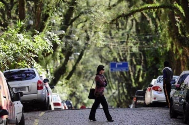 Foto - Böyle köprü görülmedi!