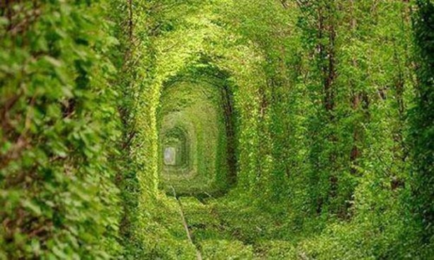 Foto - Böyle köprü görülmedi!