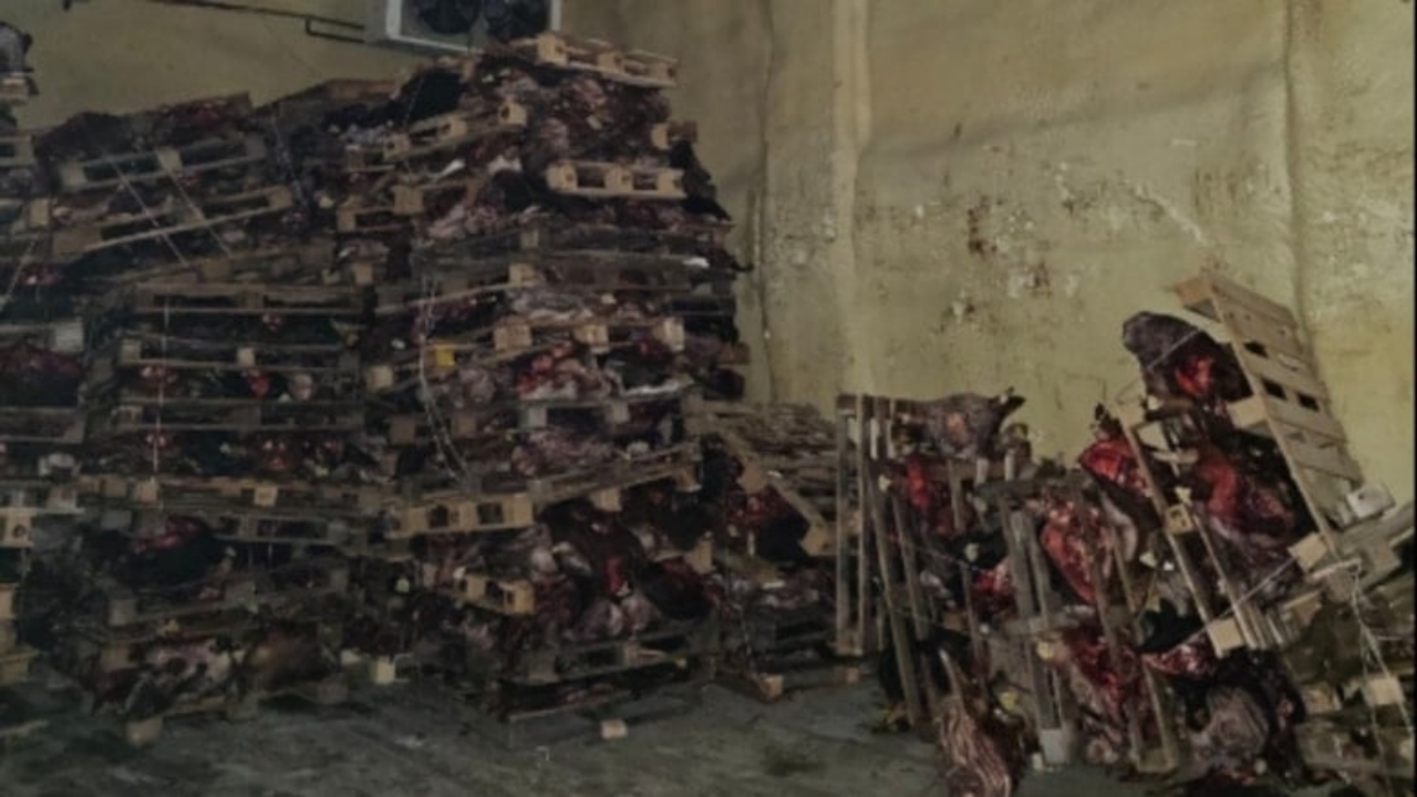 Foto - Böyle rezalet görülmedi! Bursa’da çürümüş kafalar, istiflenmiş halde bulundu