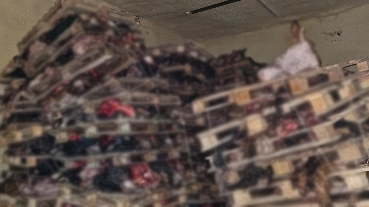 Böyle rezalet görülmedi! Bursa’da çürümüş kafalar, istiflenmiş halde bulundu