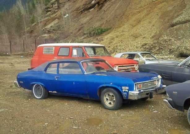 Foto - Böyle satış görülmedi!