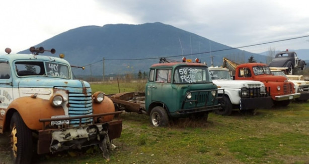 Foto - Böyle satış görülmedi!