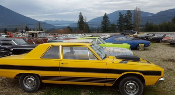 Foto - Böyle satış görülmedi!