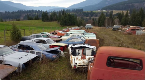 Foto - Böyle satış görülmedi!