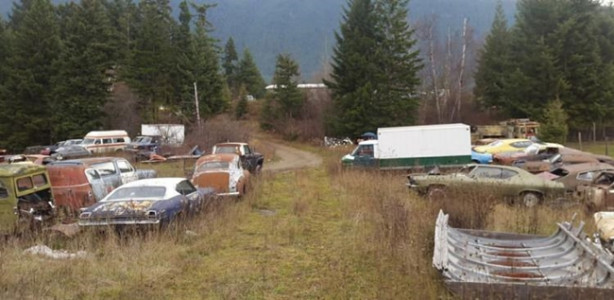 Foto - Böyle satış görülmedi!