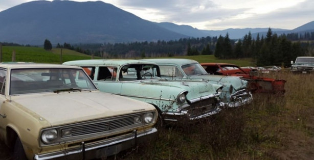 Foto - Böyle satış görülmedi!