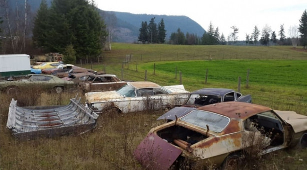 Foto - Böyle satış görülmedi!