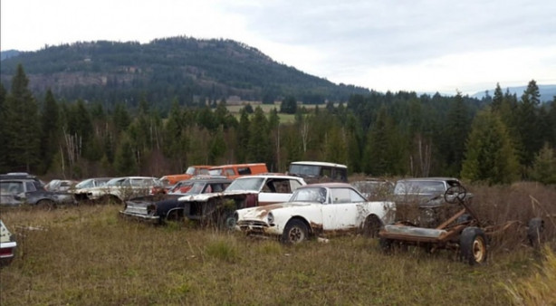 Foto - Böyle satış görülmedi!