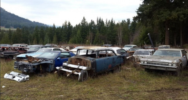 Foto - Böyle satış görülmedi!