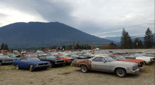 Foto - Böyle satış görülmedi!