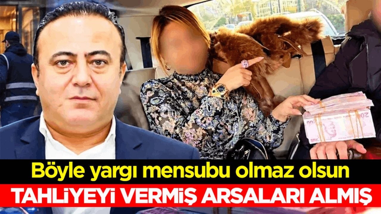 Böyle yargı mensubu olmaz olsun! Tahliyeyi vermiş arsaları almış