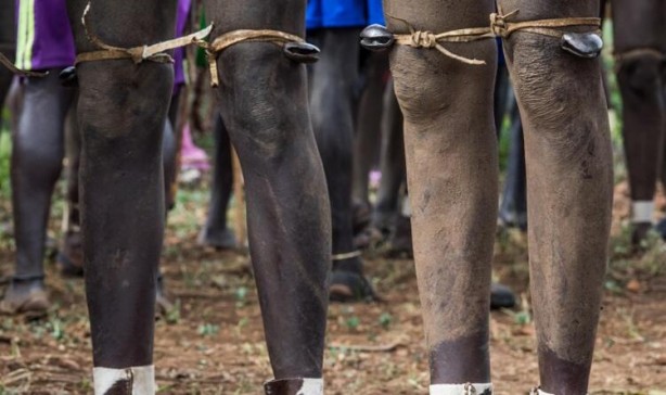 Foto - Böyle yaşam görülmedi! 6 ay kan içiyorlar diğer 6 ay ise...