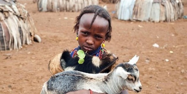 Foto - Böyle yaşam görülmedi! 6 ay kan içiyorlar diğer 6 ay ise...